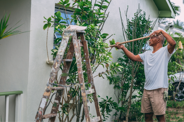 Man painting house exterior with a long roller and ladder, improving curb appeal Man painting house exterior with a long roller and ladder, improving curb appeal